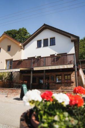 Penzion Šedivý - Bed and Breakfast Strachotín