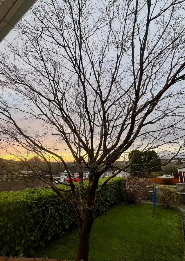 The Garden Annexe, walk to Derriford and close to Dartmoor with Parking - B&B Plymouth