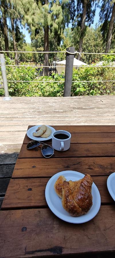 Delta Arias - B&B Tigre