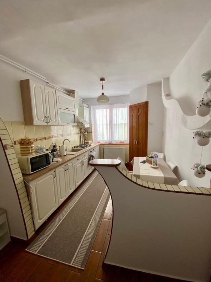 Cozy Apartment D&D - Ferienwohnung Topliţa