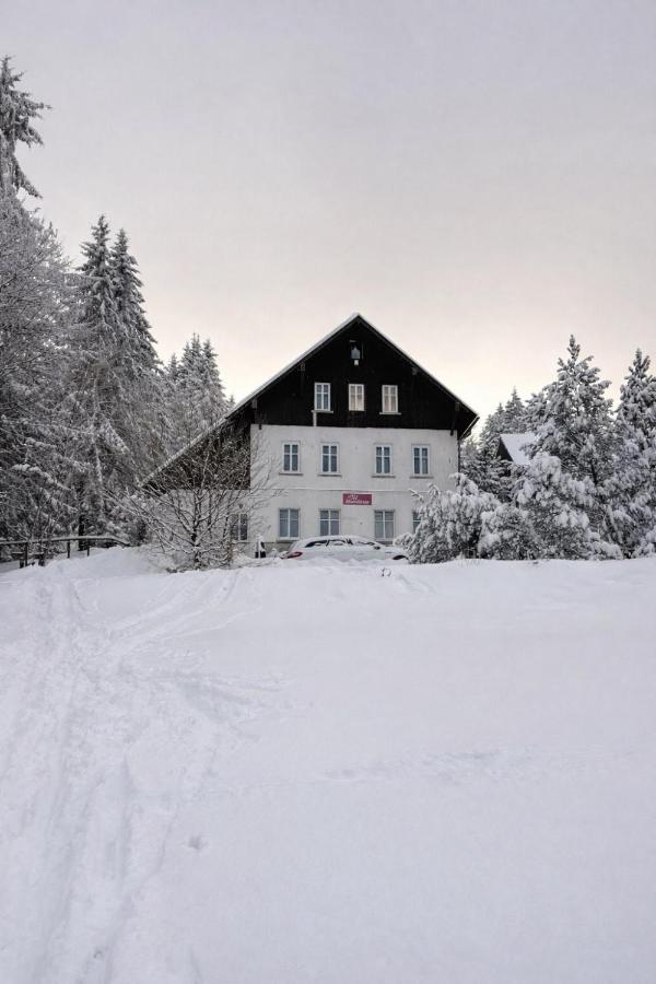 Pod Maliníkem - Bed and Breakfast Bedřichov