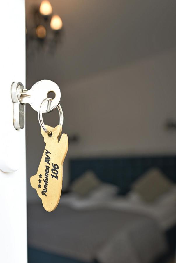 Pensiunea Avy - B&B Haţeg