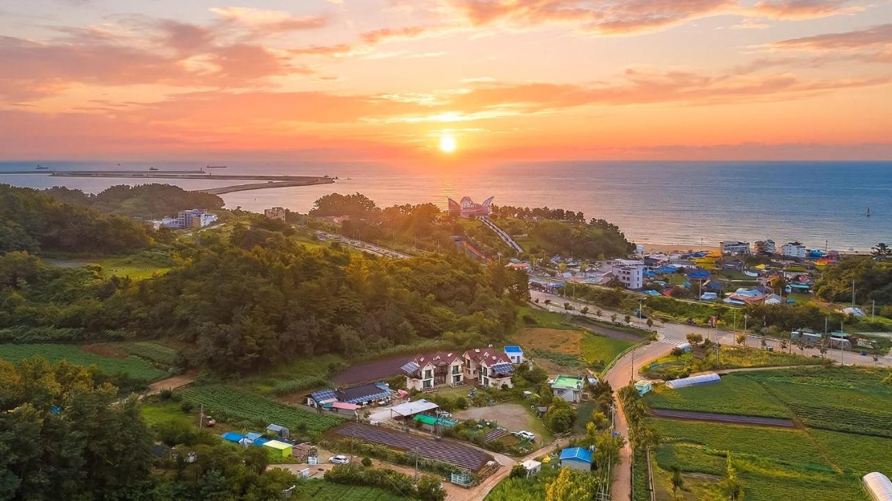 Samcheok Bongsuni-unni Pension - B&B Samcheok