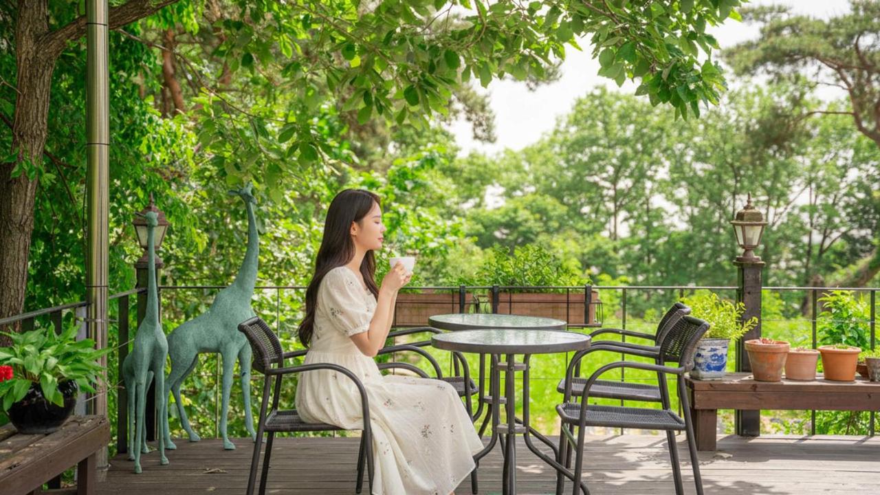 Ganghwado Elinhuvert Pension - B&B Incheon