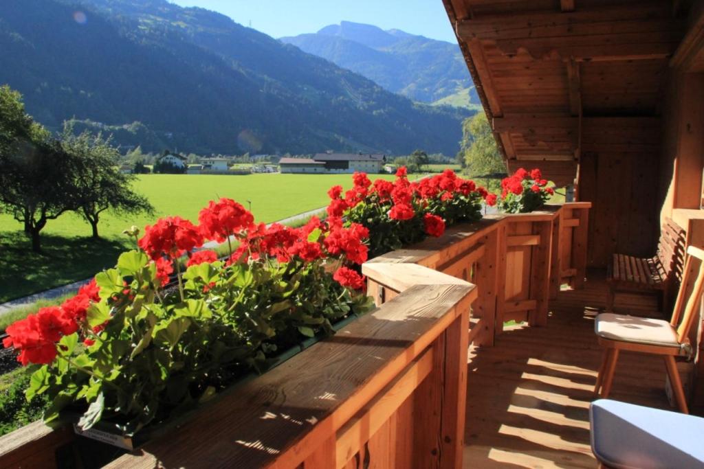 Apart Eberharter - B&B