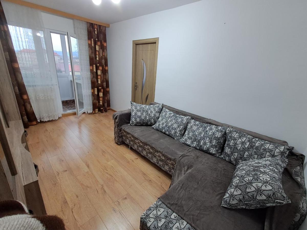 "NIB's apartment" - B&B Caransebeş