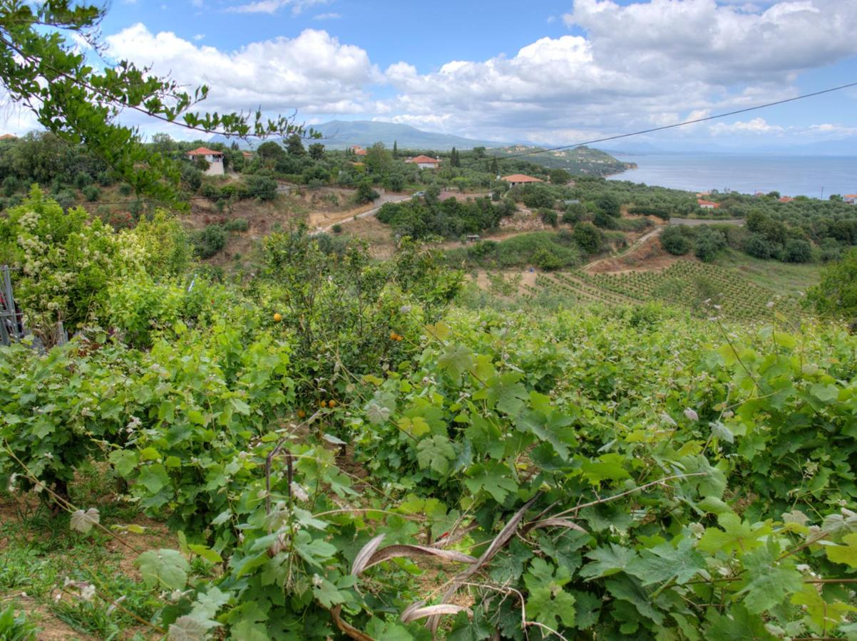 Guesthouse Agia Triada - B&B Koroni