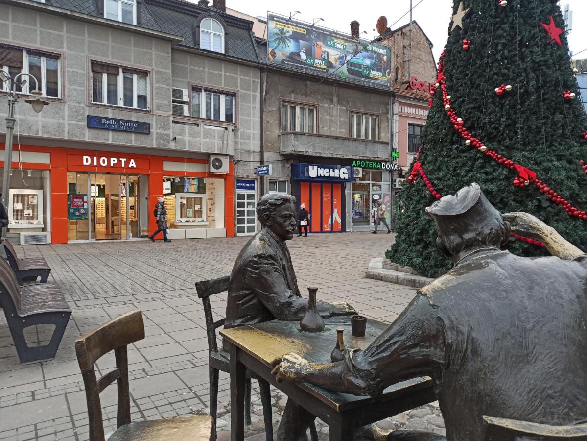 Bella Notte apartments - City Center with Terrace - B&B Niš