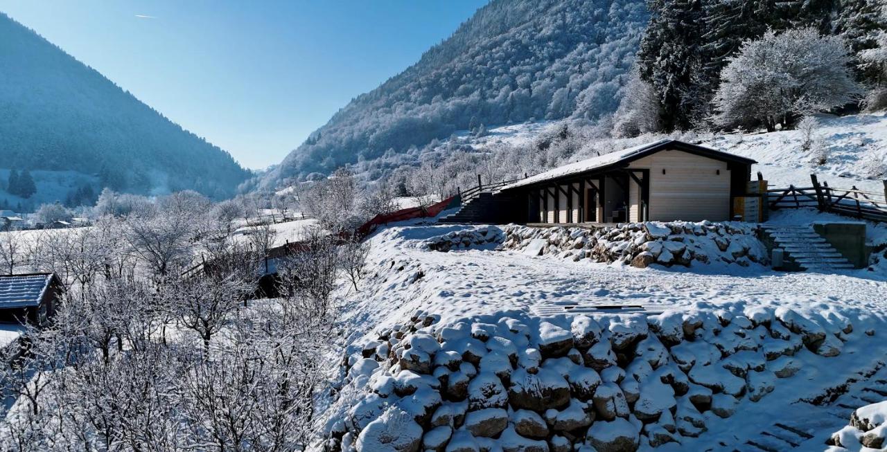 Nomad by Hora cu Brazi - B&B Zărneşti