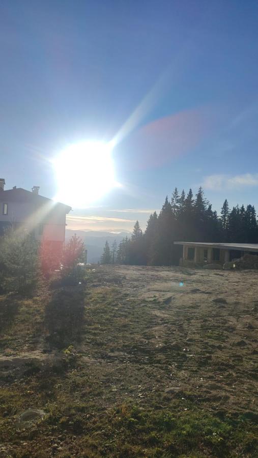 Апартаменти Pamporovo Dream в Гранд Ризорт Пампорово - Chambres d'hôtes Pamporovo
