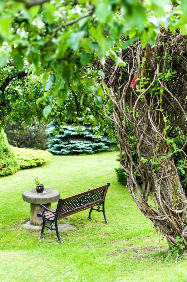 Agroturystyka Wzgórze Magnolii - B&B Długopole-Zdrój