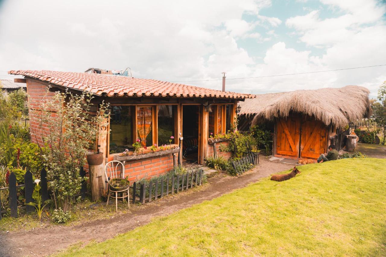 COTOPAXI Wasi Andina Lodge - B&B Latacunga