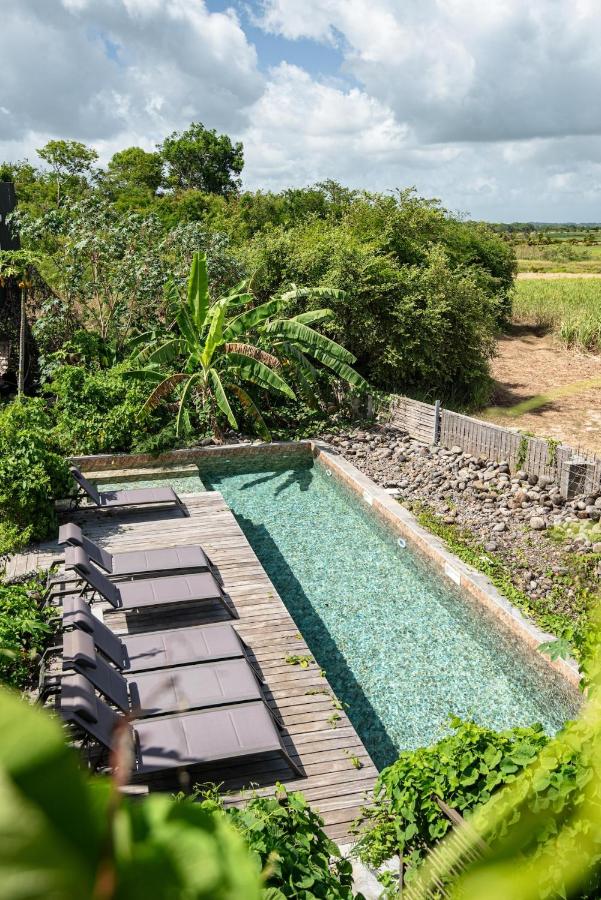 T2 chaleureux & piscine en pleine nature - B&B Petit-Canal