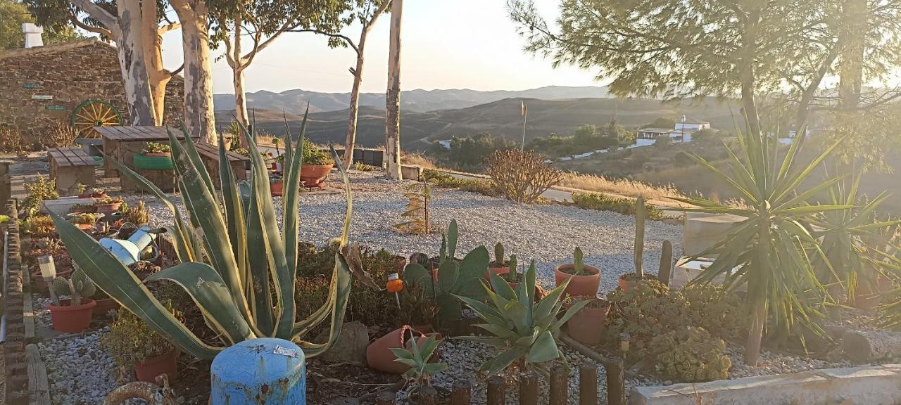 Casa dos Avós - B&B Estorninhos