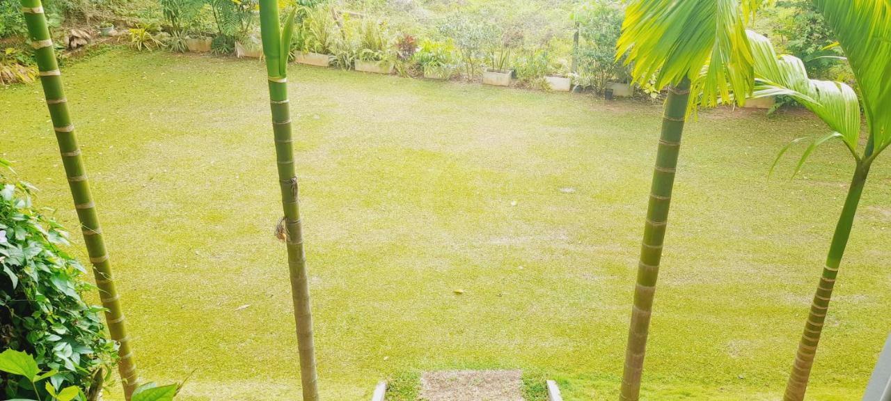 Stay Zen - B&B Arangala