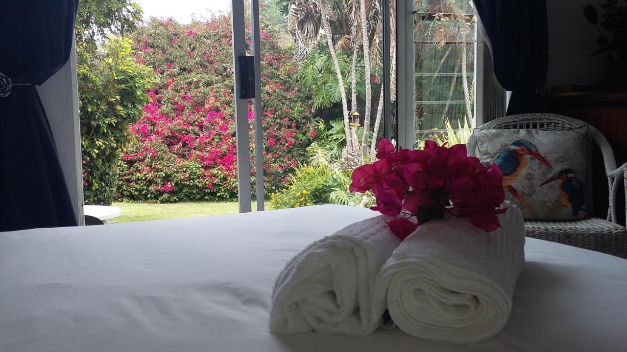King Room with Pool View and Private Bathroom