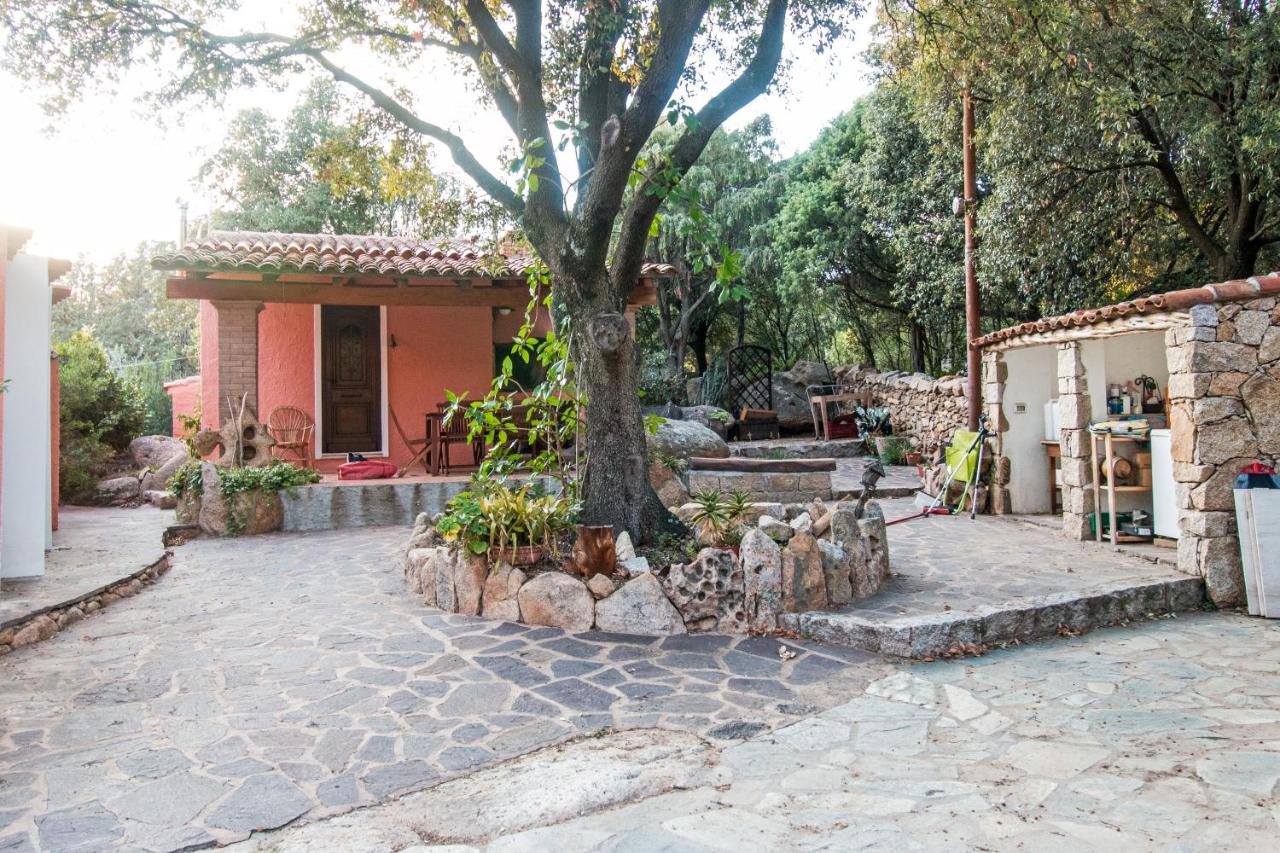 B&B San Pantaleo - Casa vacanze San Pantaleo - Bed and Breakfast San Pantaleo