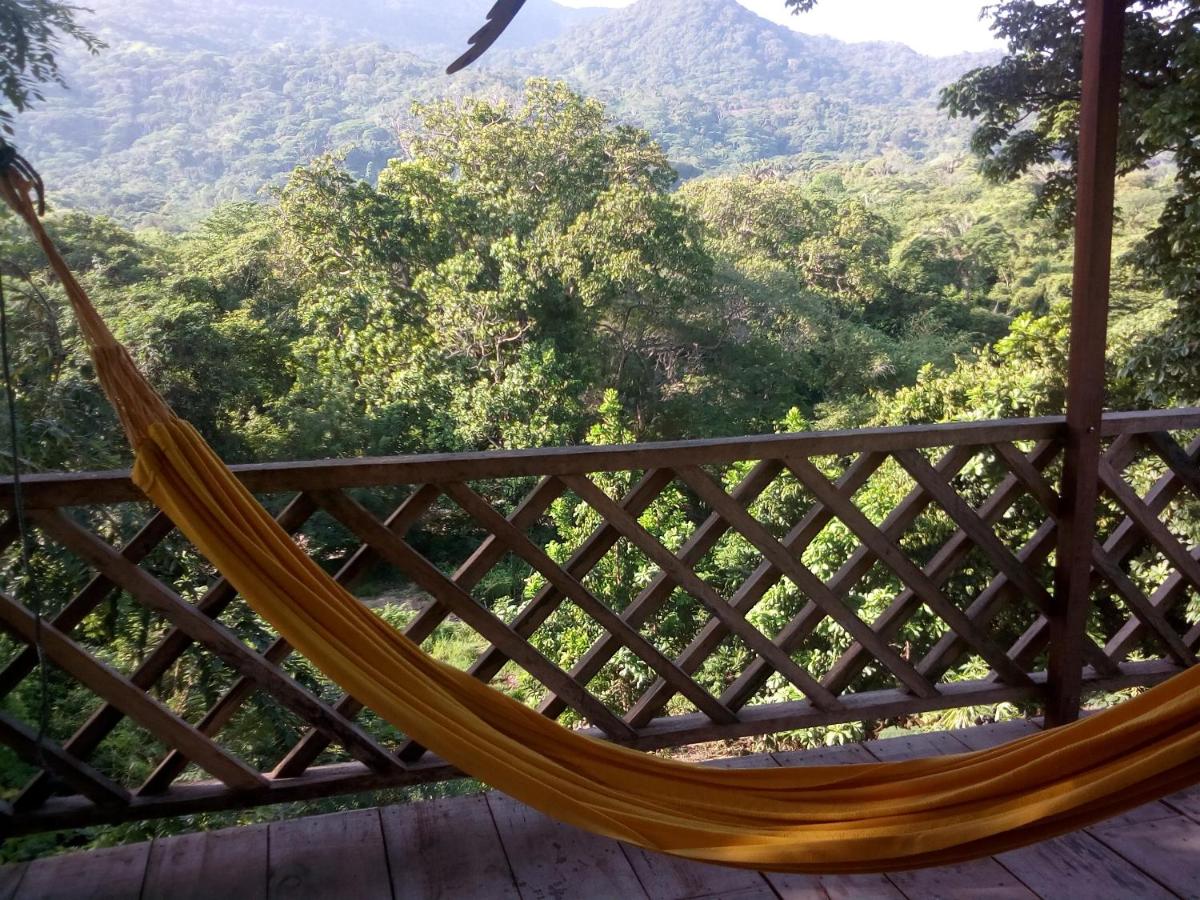 Deep Forest Posadas Ecoturisticas - B&B