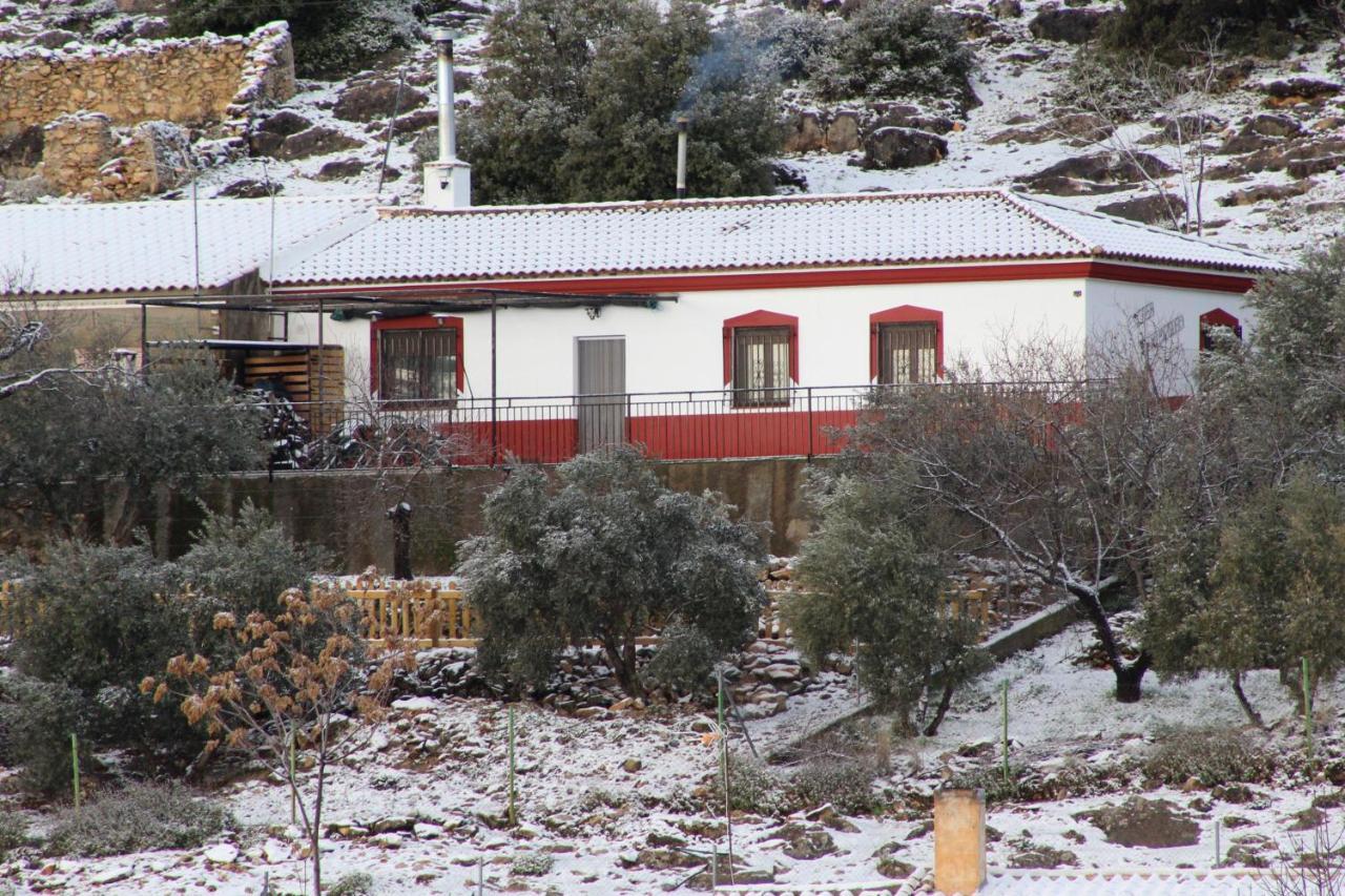 El Almendro de Fuentes Nuevas - B&B Castril