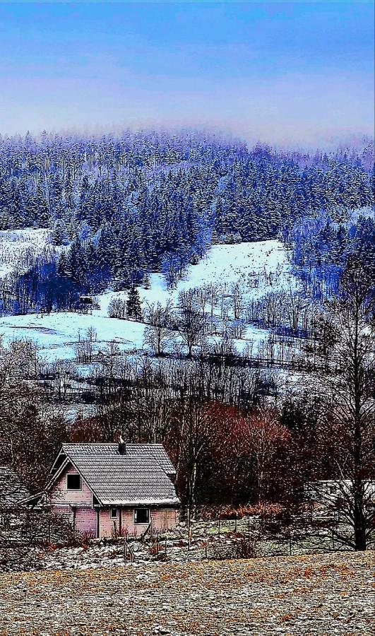 Domek pod Ostoją Góry Sowie - Chambres d’hôtes Łomnica