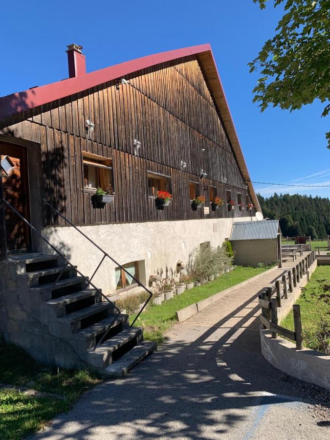 Gîte au coeur des rêves - B&B Les Gras