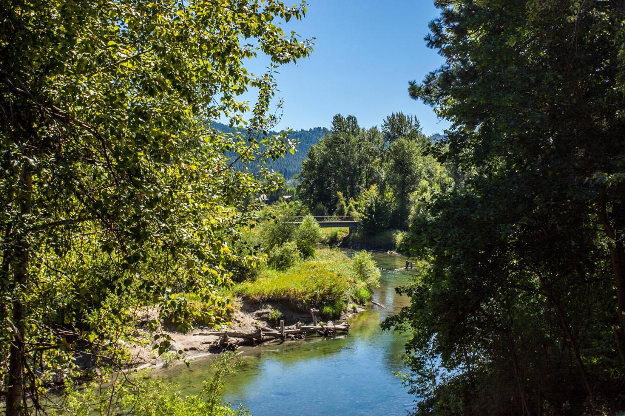 Suite - Vue sur Rivière