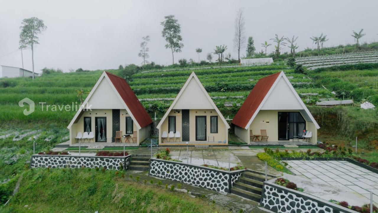 Vianda Cabin By Travelink - Bed and Breakfast Kejajar