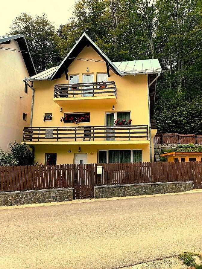 Casa Sonne Bușteni - B&B Buşteni