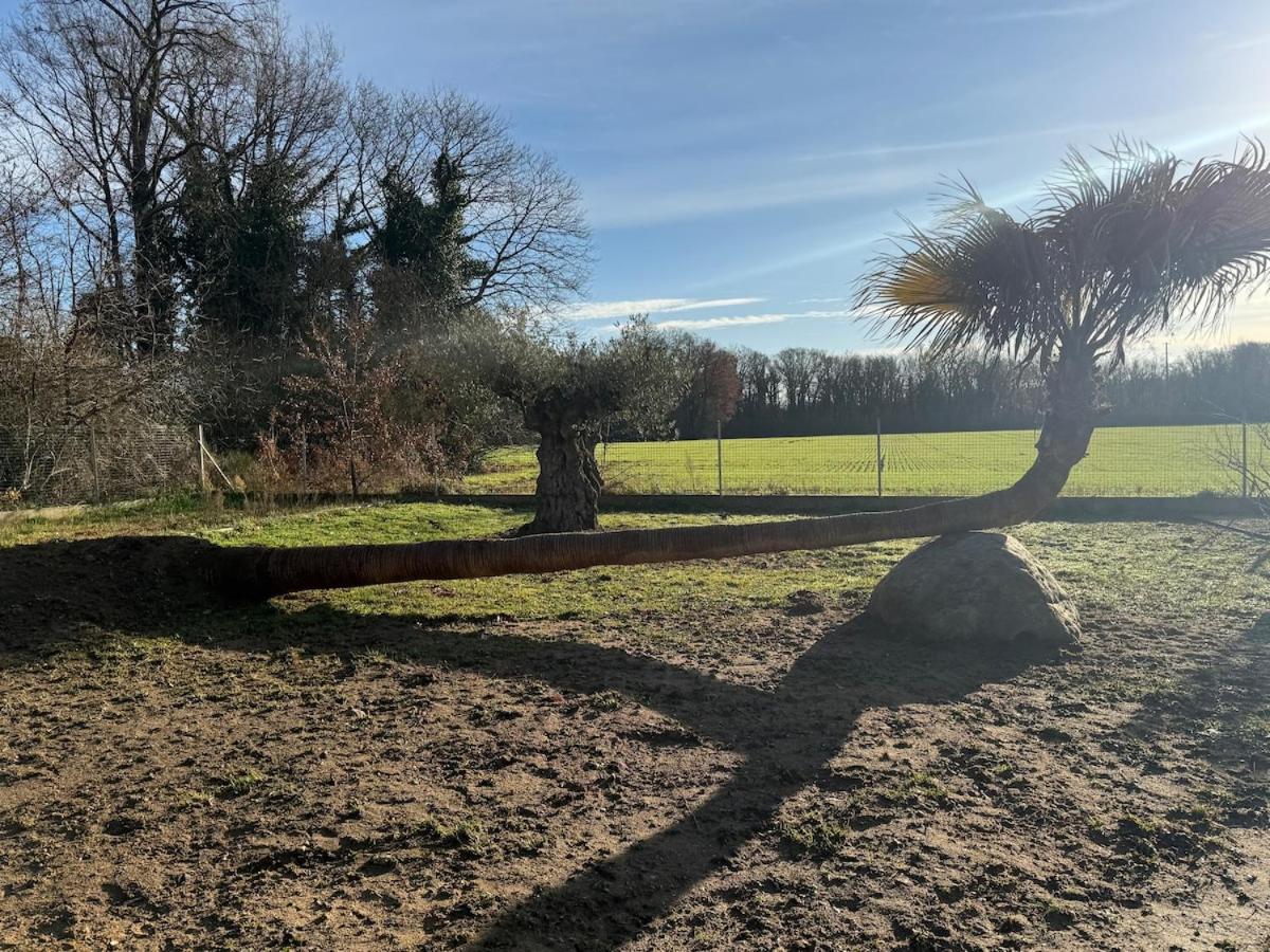 Serenity's Home - B&B Naintré