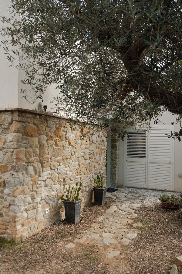 Casa Verde Oliva - WelcHome - Chambres d'hôtes Rocca San Giovanni