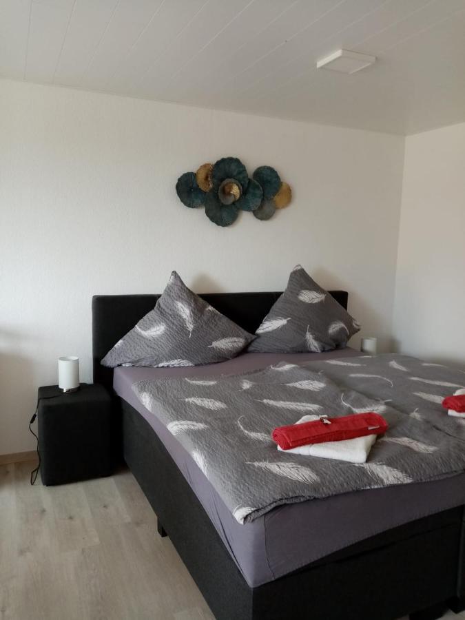 Schönes, modernes Appartement mit Balkon und Indoorpool - B&B Oberteuringen