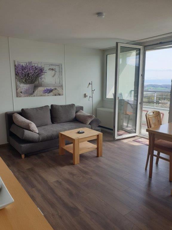 Appartement mit schöner Weitsicht auf Bodensee und Berge mit Indoorpool - B&B Oberteuringen