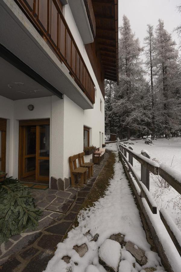 Casa Merisanda, confortevole e immersa nel verde - B&B Cortina d'Ampezzo