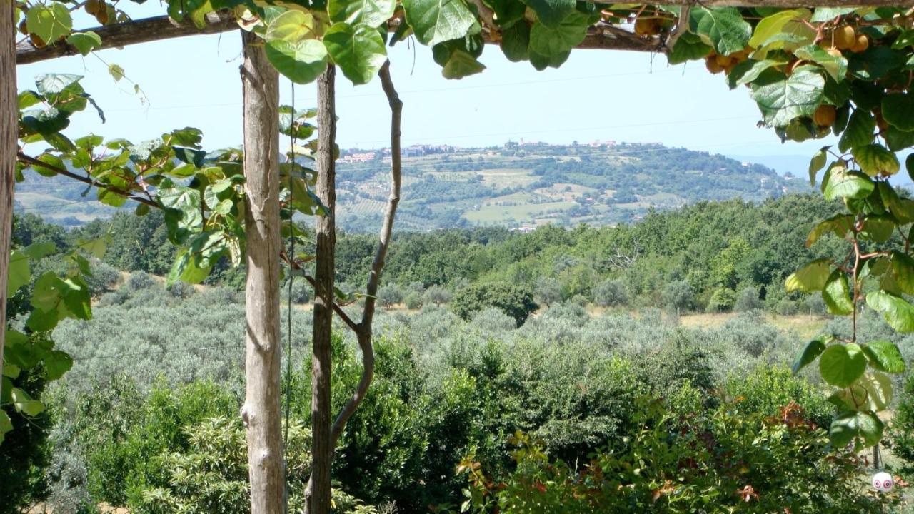 Doppel- oder Zweibettzimmer