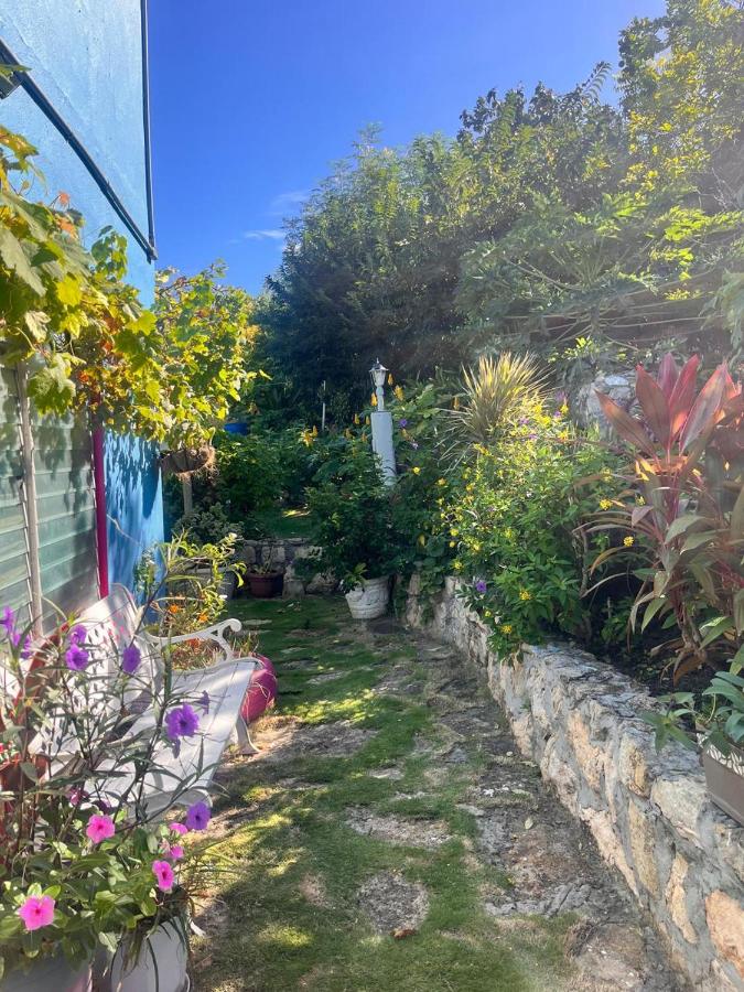 Ellen Bay Cottages - B&B Saint Philips