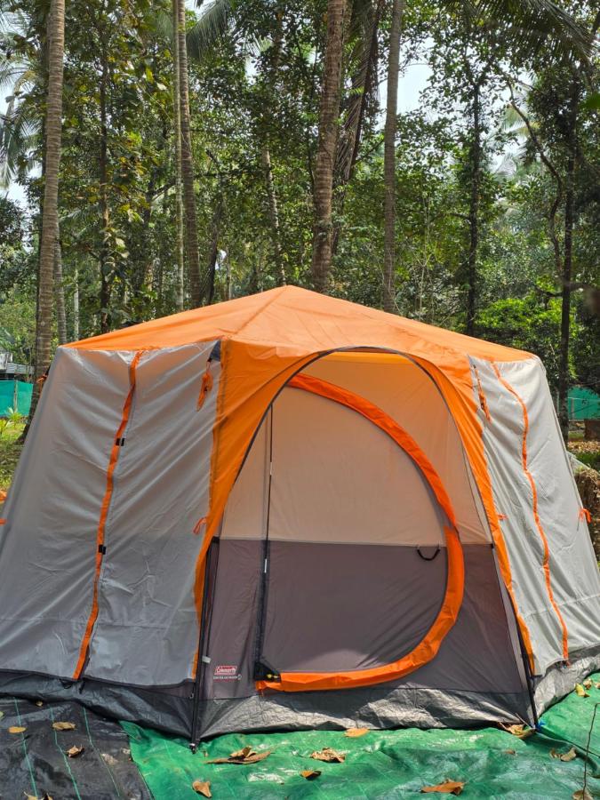 The Kadu - B&B Talakkād