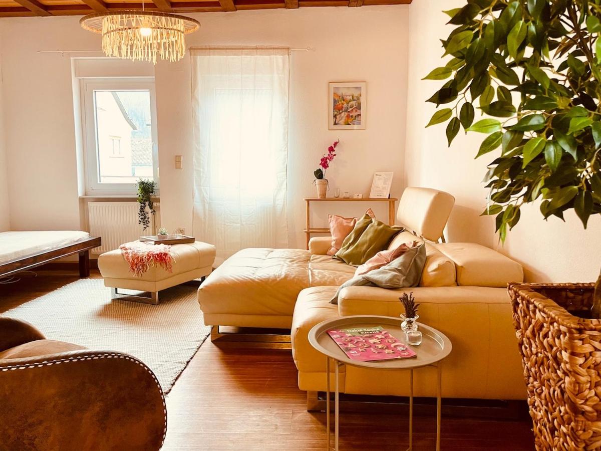 Odw Homes - Charming Home in Gorxheimertal - B&B Kunzenbach