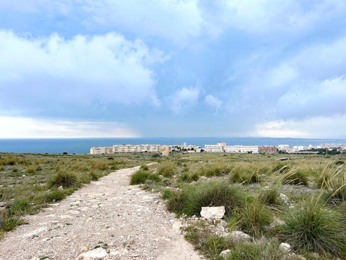 Sea View Apt, Pool & Garden, Walk to Beach & Park - B&B Santa Pola