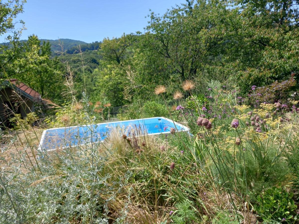 Peaceful Nature House near Zagreb - Pet Friendly - Workspace - Fast WiFi - Chambres d'hôtes Mala Rakovica