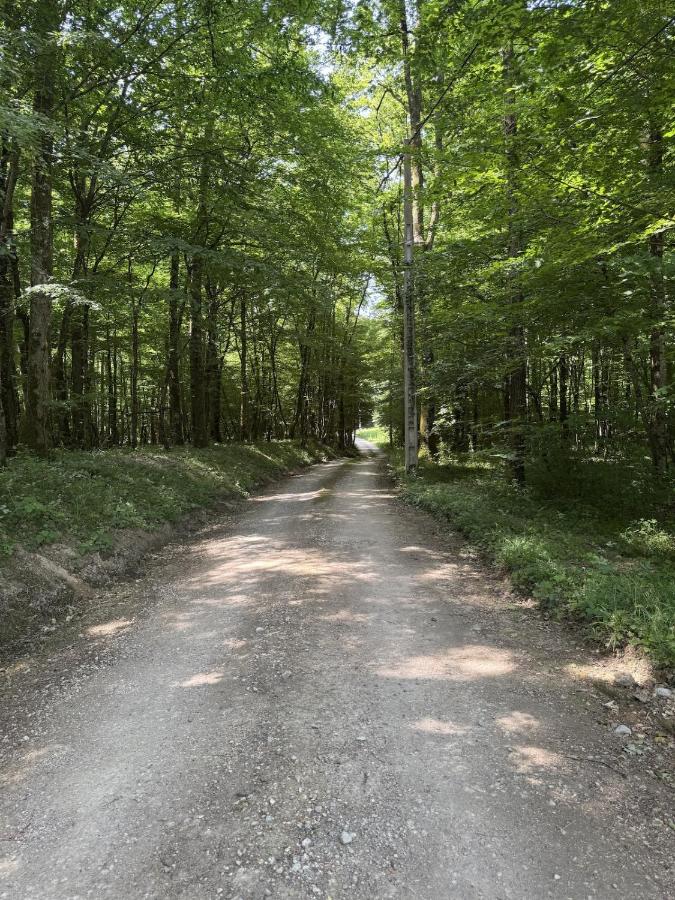 Gite au coeur des bois - Le Chêne du Verger - B&B Amboise