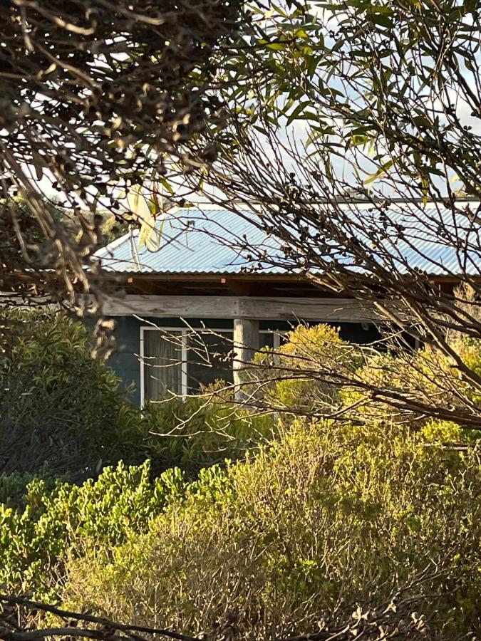 Driftaway - WIFI, Netflix, pet friendly, comfort - B&B Marion Bay