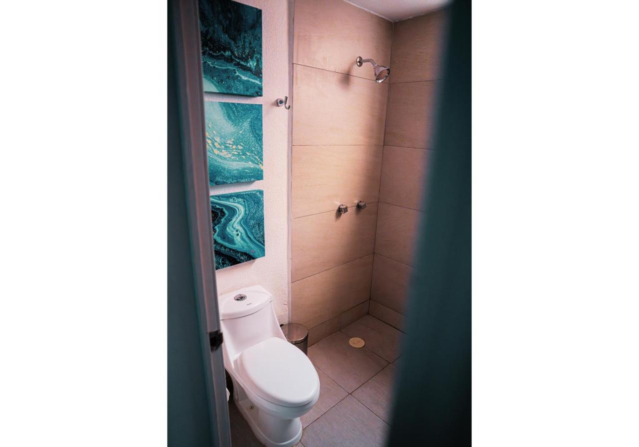 Viveros Centric and Comfortable Apt 2BR B Quintana Alamos - B&B La Laborcilla