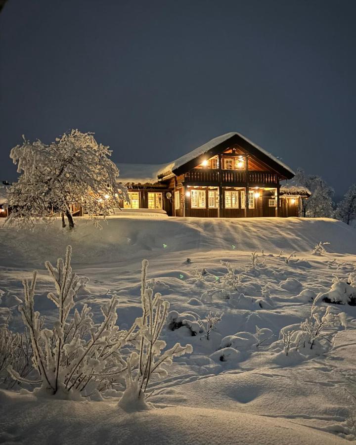 Bjørnebuhytten, Geilo, 13 sengeplasser med privat Jacuzzi og el-bil-lading - B&B Geilo