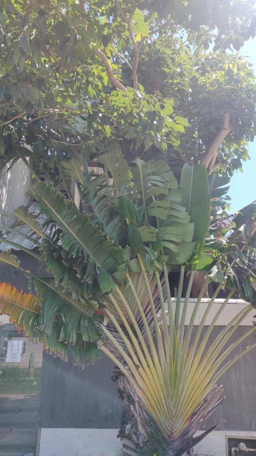 Estúdio Amplo e Moderno em Arraial do Cabo - B&B Arraial do Cabo