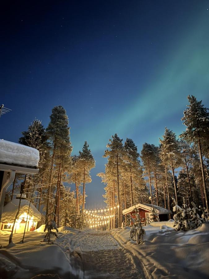 Lumi Hill Lodge - Northern Lights - B&B Inari