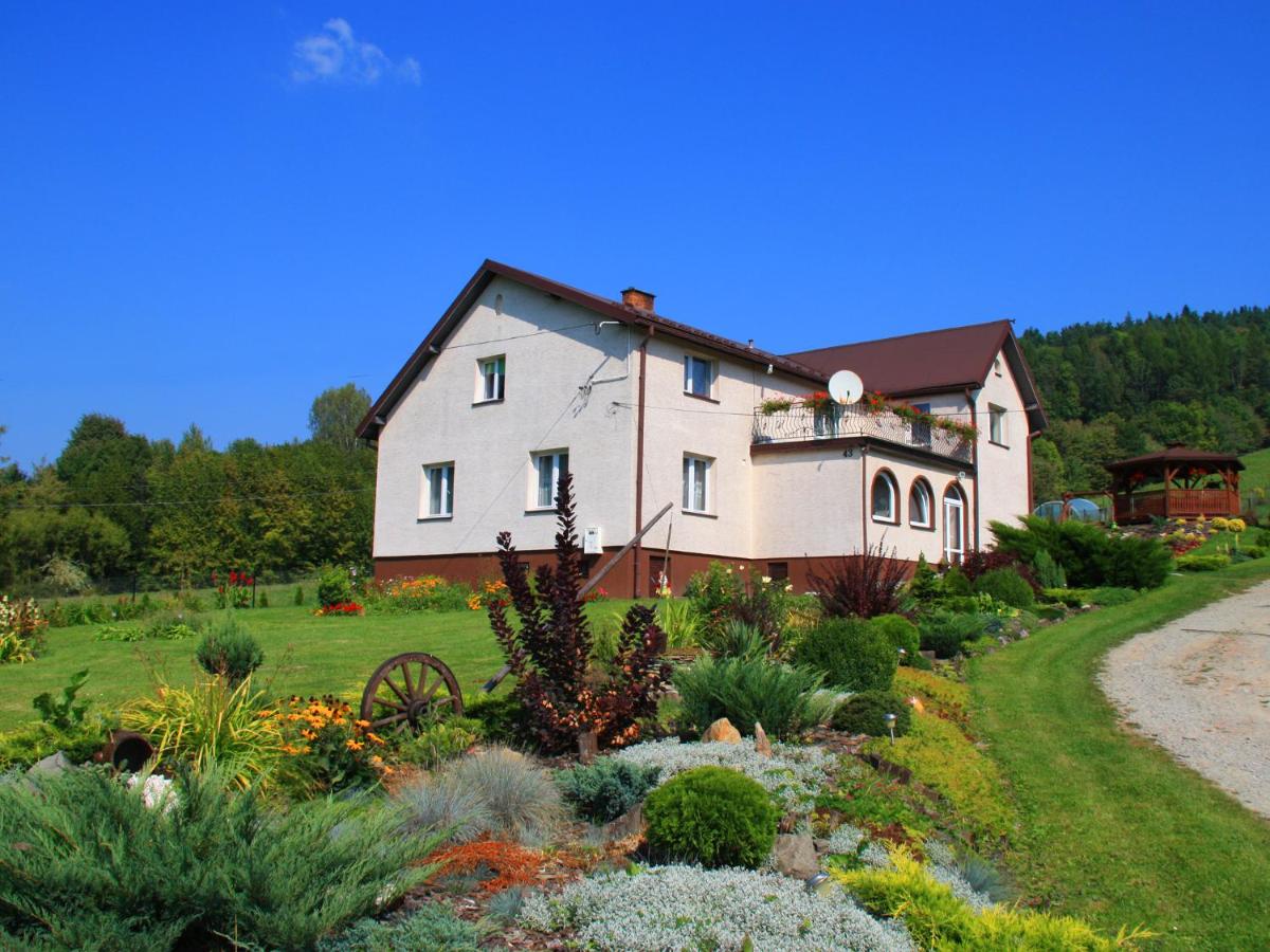Orlikowe Wzgórze - Bed and Breakfast Rabe