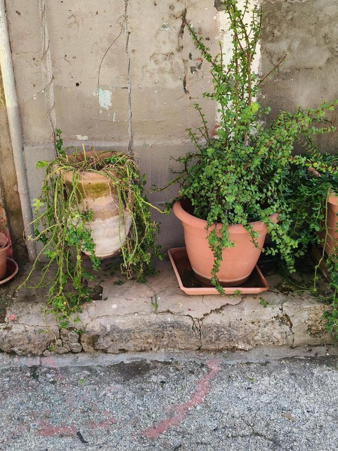 U Putticatu - Bed and Breakfast Augusta