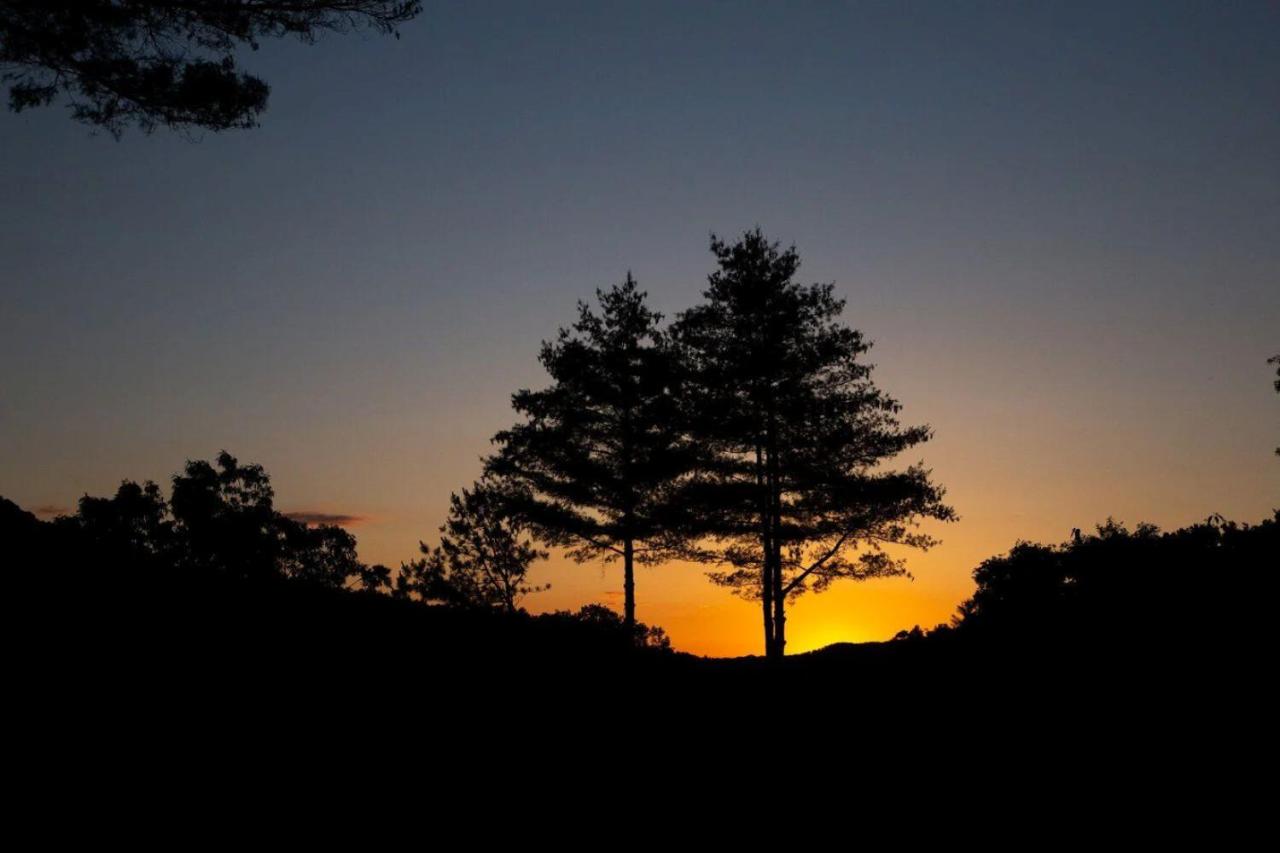 Beautiful Sunsets, fire pit, private, close to Bryson City - Ferienwohnung Bryson City
