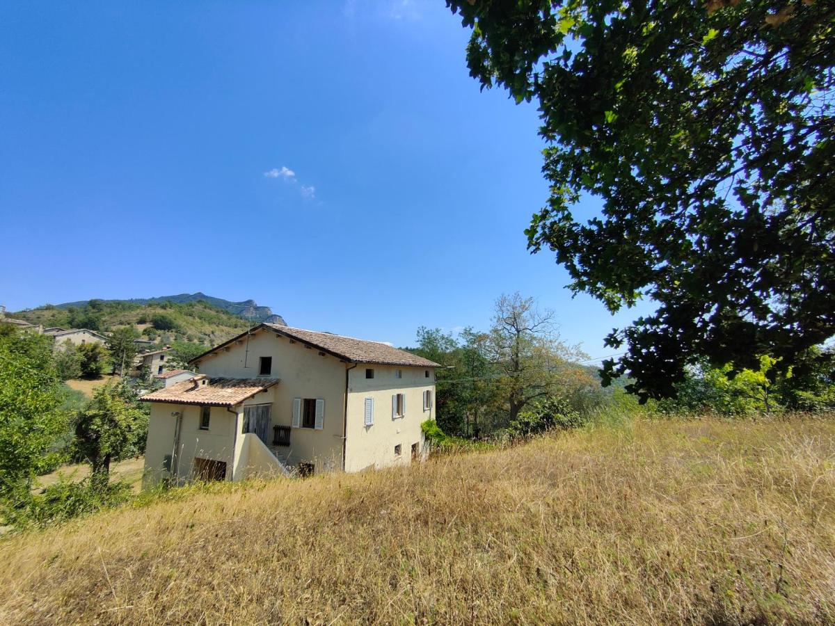 Large country house in Le Marche - Chambres d'hôtes Montadamo