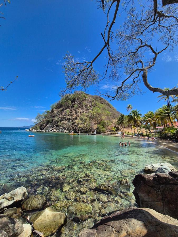 Villa Bois coco Les Saintes - Bed and Breakfast Terre-de-Haut